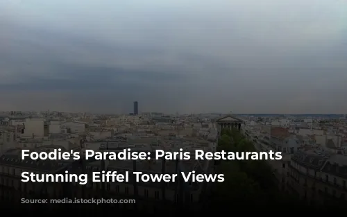 Foodie's Paradise: Paris Restaurants with Stunning Eiffel Tower Views