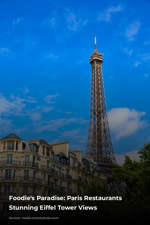 Foodie's Paradise: Paris Restaurants with Stunning Eiffel Tower Views