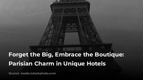 Forget the Big, Embrace the Boutique: Discovering Parisian Charm in Unique Hotels