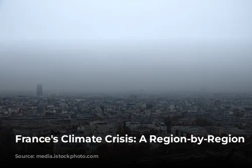 France's Climate Crisis: A Region-by-Region Breakdown