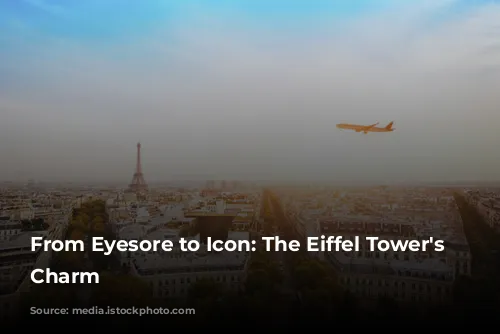 From Eyesore to Icon: The Eiffel Tower's Parisian Charm