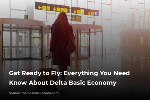 Get Ready to Fly: Everything You Need to Know About Delta Basic Economy