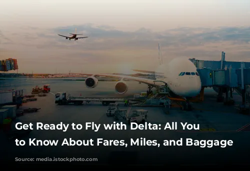 Get Ready to Fly with Delta: All You Need to Know About Fares, Miles, and Baggage