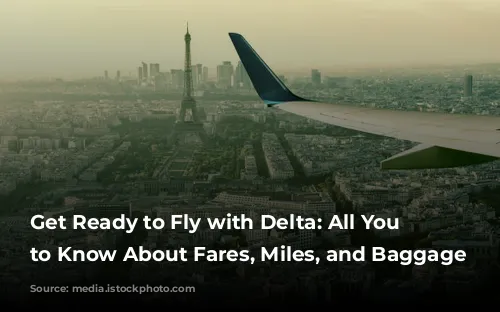 Get Ready to Fly with Delta: All You Need to Know About Fares, Miles, and Baggage