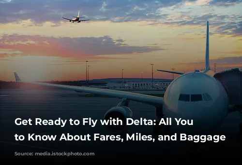 Get Ready to Fly with Delta: All You Need to Know About Fares, Miles, and Baggage