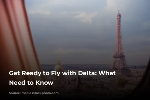 Get Ready to Fly with Delta: What You Need to Know