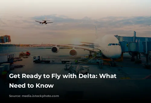 Get Ready to Fly with Delta: What You Need to Know