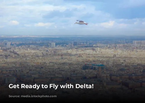 Get Ready to Fly with Delta!