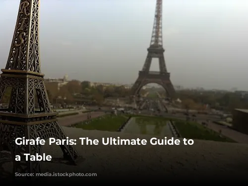 Girafe Paris: The Ultimate Guide to Booking a Table