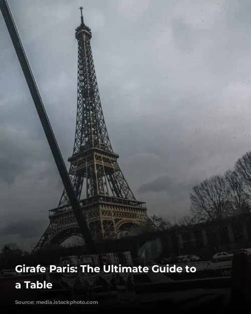 Girafe Paris: The Ultimate Guide to Getting a Table