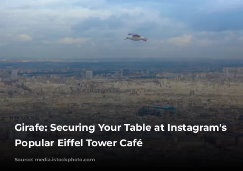 Girafe: Securing Your Table at Instagram's Most Popular Eiffel Tower Café