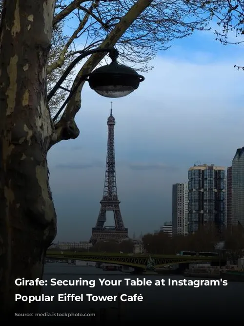 Girafe: Securing Your Table at Instagram's Most Popular Eiffel Tower Café