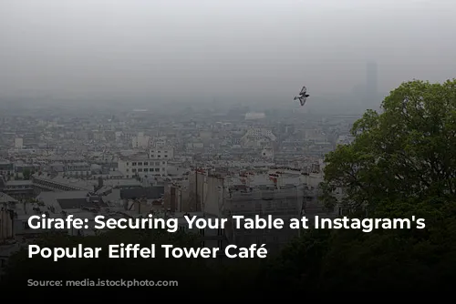 Girafe: Securing Your Table at Instagram's Most Popular Eiffel Tower Café