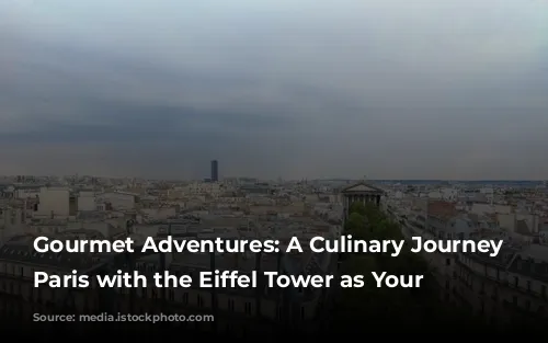 Gourmet Adventures: A Culinary Journey Through Paris with the Eiffel Tower as Your Backdrop