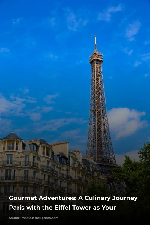 Gourmet Adventures: A Culinary Journey Through Paris with the Eiffel Tower as Your Backdrop