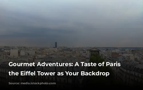 Gourmet Adventures: A Taste of Paris with the Eiffel Tower as Your Backdrop