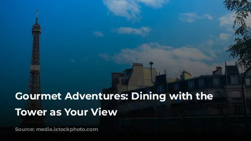 Gourmet Adventures: Dining with the Eiffel Tower as Your View