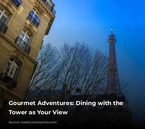 Gourmet Adventures: Dining with the Eiffel Tower as Your View