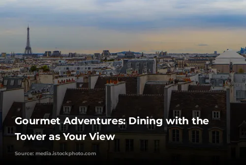 Gourmet Adventures: Dining with the Eiffel Tower as Your View