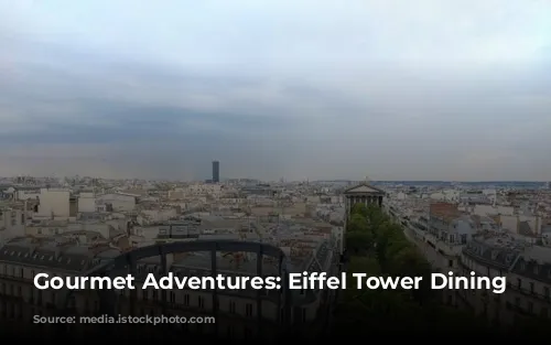 Gourmet Adventures: Eiffel Tower Dining Delights