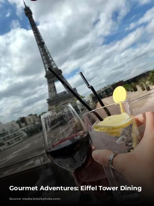 Gourmet Adventures: Eiffel Tower Dining Delights