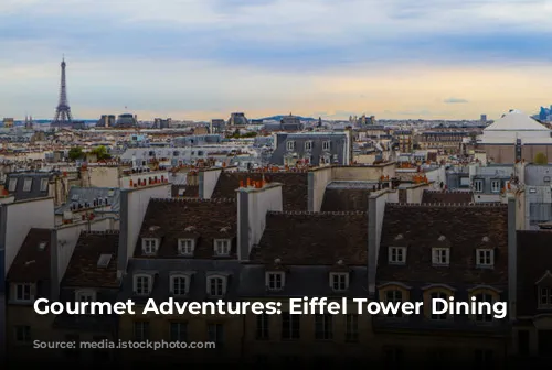 Gourmet Adventures: Eiffel Tower Dining Delights