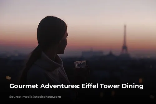 Gourmet Adventures: Eiffel Tower Dining Delights