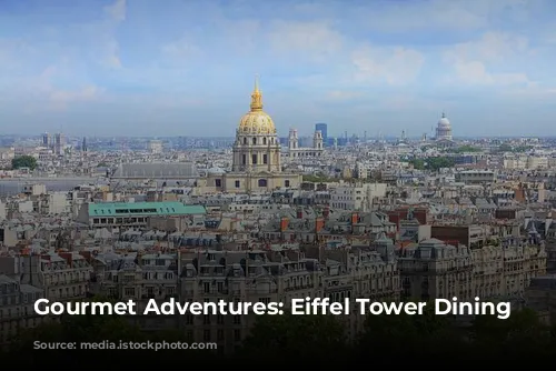 Gourmet Adventures: Eiffel Tower Dining Delights