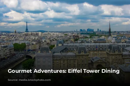 Gourmet Adventures: Eiffel Tower Dining Delights