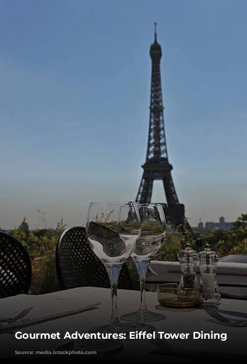 Gourmet Adventures: Eiffel Tower Dining