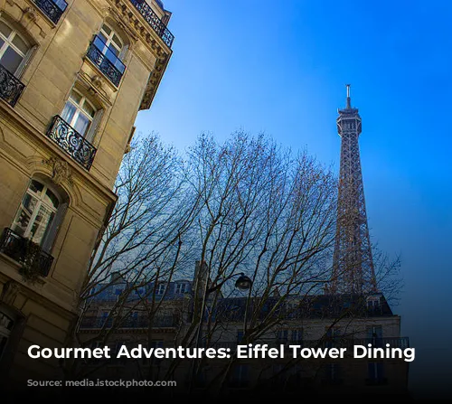 Gourmet Adventures: Eiffel Tower Dining