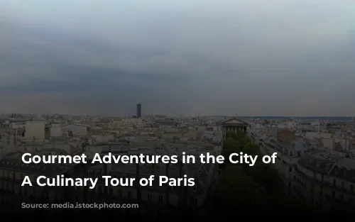 Gourmet Adventures in the City of Lights: A Culinary Tour of Paris