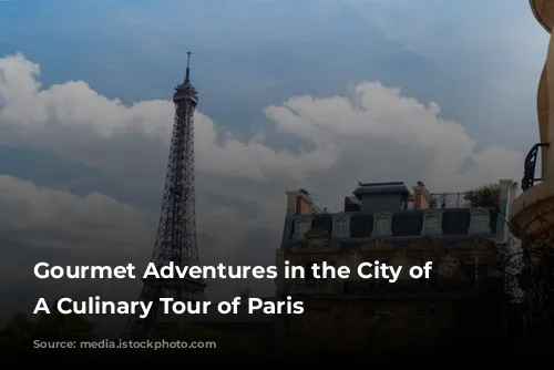 Gourmet Adventures in the City of Lights: A Culinary Tour of Paris