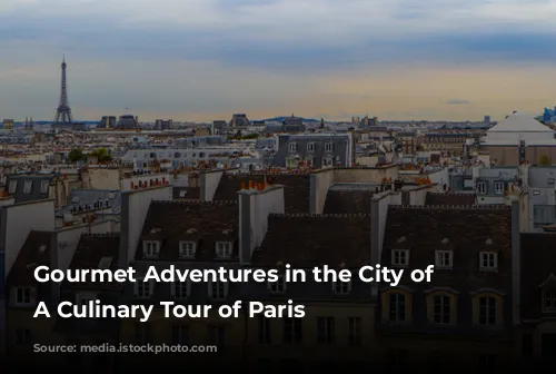 Gourmet Adventures in the City of Lights: A Culinary Tour of Paris