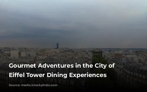 Gourmet Adventures in the City of Lights: Eiffel Tower Dining Experiences