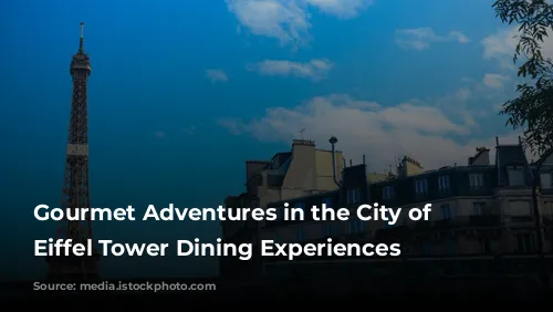 Gourmet Adventures in the City of Lights: Eiffel Tower Dining Experiences