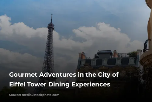 Gourmet Adventures in the City of Lights: Eiffel Tower Dining Experiences