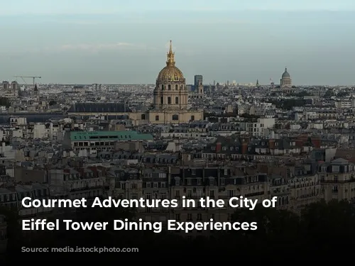 Gourmet Adventures in the City of Lights: Eiffel Tower Dining Experiences