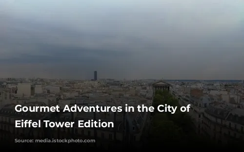 Gourmet Adventures in the City of Lights: Eiffel Tower Edition