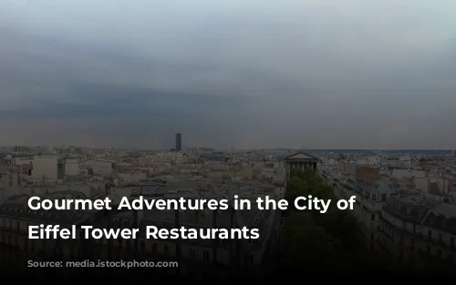 Gourmet Adventures in the City of Lights: Eiffel Tower Restaurants