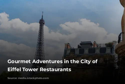 Gourmet Adventures in the City of Lights: Eiffel Tower Restaurants