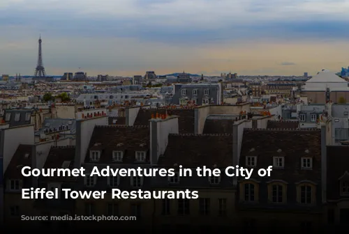 Gourmet Adventures in the City of Lights: Eiffel Tower Restaurants