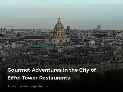 Gourmet Adventures in the City of Lights: Eiffel Tower Restaurants