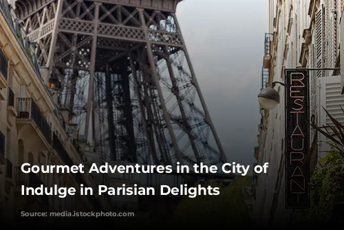 Gourmet Adventures in the City of Lights: Indulge in Parisian Delights