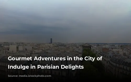 Gourmet Adventures in the City of Lights: Indulge in Parisian Delights