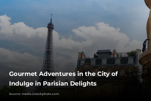 Gourmet Adventures in the City of Lights: Indulge in Parisian Delights