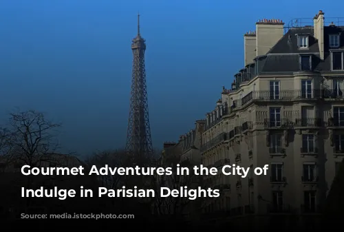 Gourmet Adventures in the City of Lights: Indulge in Parisian Delights