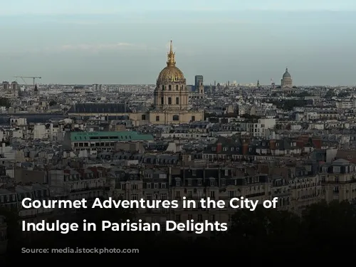 Gourmet Adventures in the City of Lights: Indulge in Parisian Delights