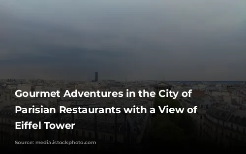 Gourmet Adventures in the City of Lights: Parisian Restaurants with a View of the Eiffel Tower