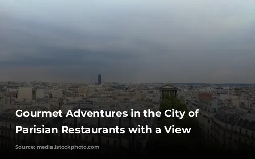 Gourmet Adventures in the City of Lights: Parisian Restaurants with a View